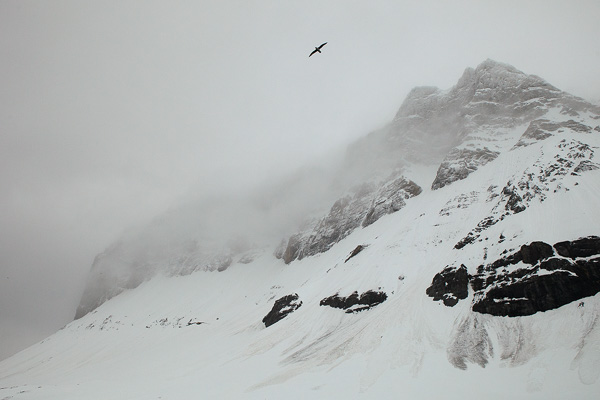 Svalbard. Canon 5D MK II + EF 24-70/2,8. Tid 1/3200, bl. 8 och ISO 800.