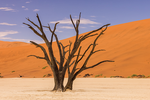 Namiböknen. Sossusvlei/Namibia. Canon R5 och EF 70-200/2,8 IS II. Tid 1/60 och ISO 100 + fokusstacking.